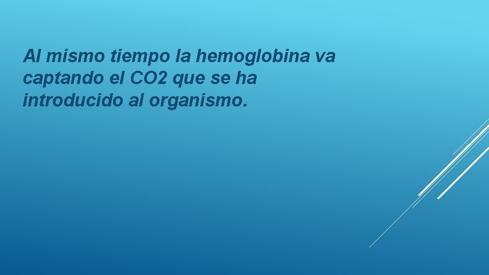 Al mismo tiempo la hemoglobina va captando el CO 2 que se ha introducido