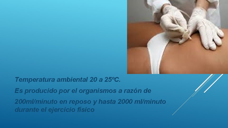 Temperatura ambiental 20 a 25ºC. Es producido por el organismos a razón de 200