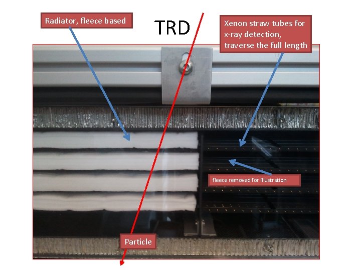 Radiator, fleece based TRD Xenon straw tubes for x-ray detection, traverse the full length