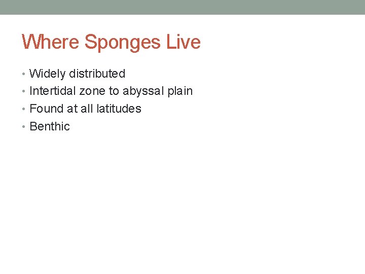 Where Sponges Live • Widely distributed • Intertidal zone to abyssal plain • Found