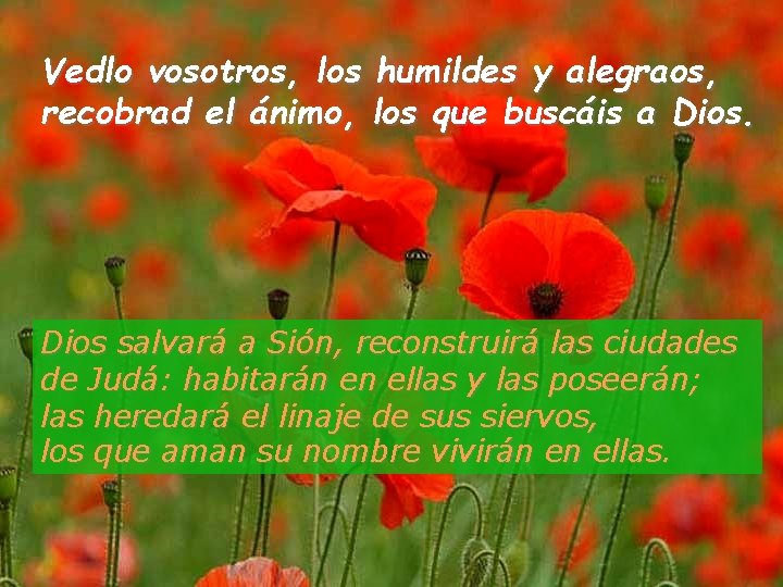 Vedlo vosotros, los humildes y alegraos, recobrad el ánimo, los que buscáis a Dios