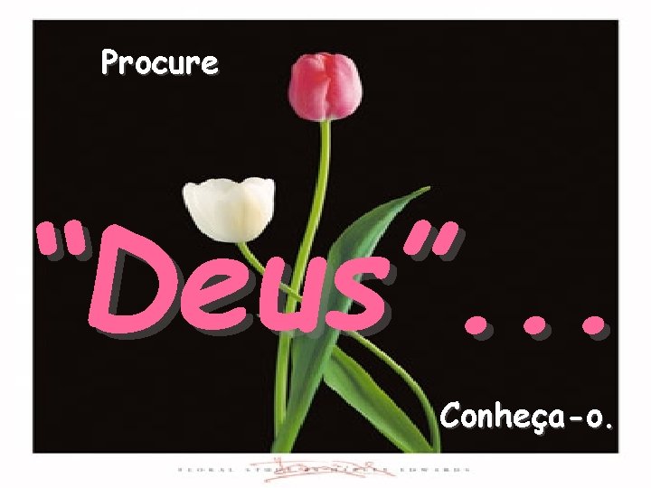 Procure “Deus”. . . Conheça-o. 