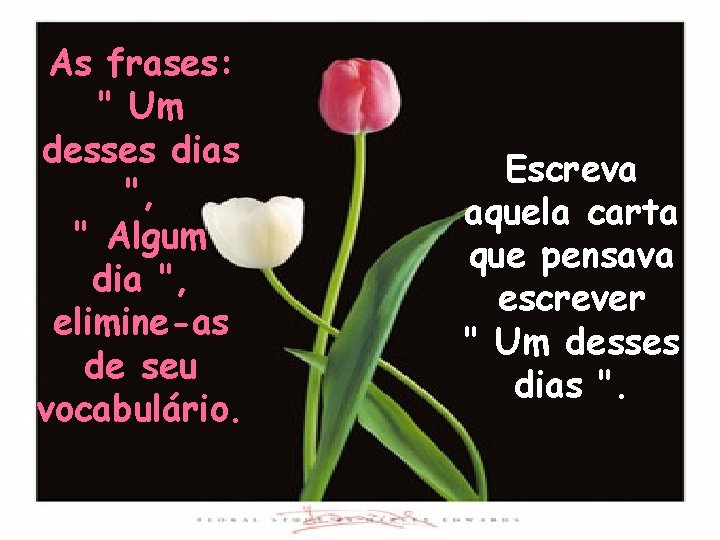 As frases: " Um desses dias ", " Algum dia ", elimine-as de seu