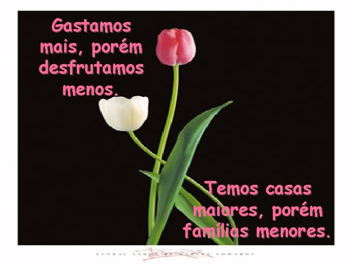 Gastamos mais, porém desfrutamos menos. Temos casas maiores, porém famílias menores. 