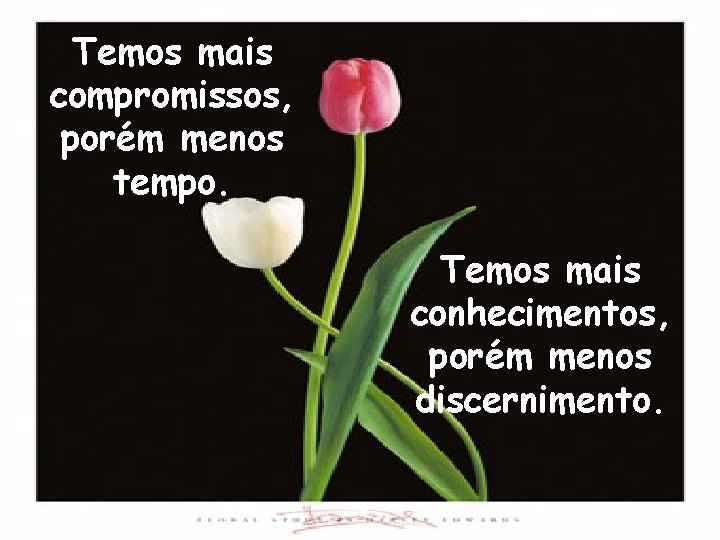 Temos mais compromissos, porém menos tempo. Temos mais conhecimentos, porém menos discernimento. 