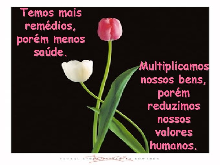 Temos mais remédios, porém menos saúde. Multiplicamos nossos bens, porém reduzimos nossos valores humanos.