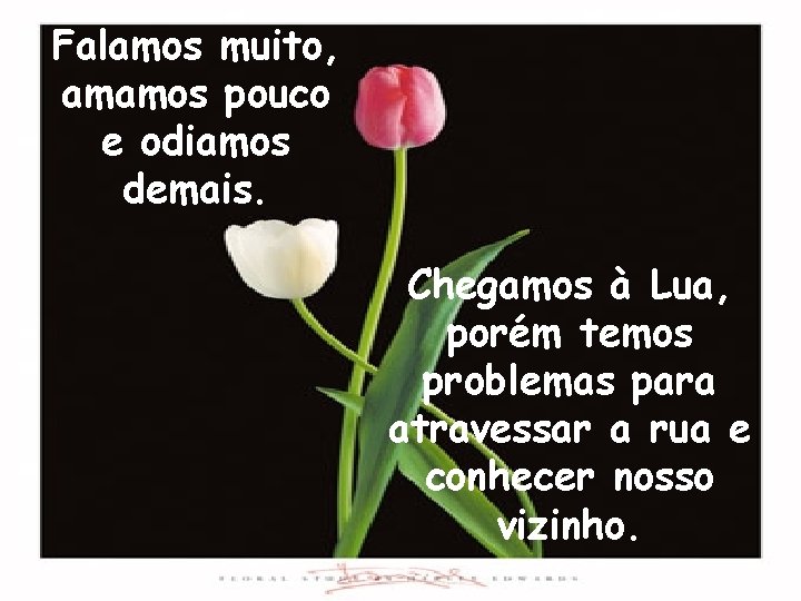 Falamos muito, amamos pouco e odiamos demais. Chegamos à Lua, porém temos problemas para