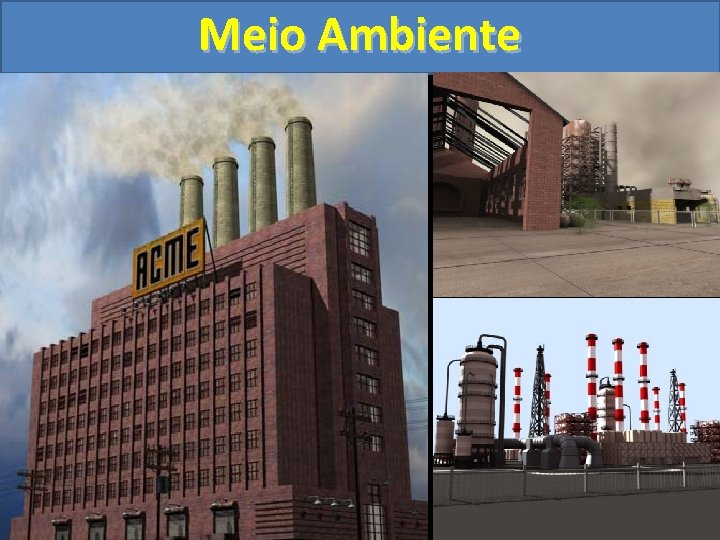 Meio Ambiente 