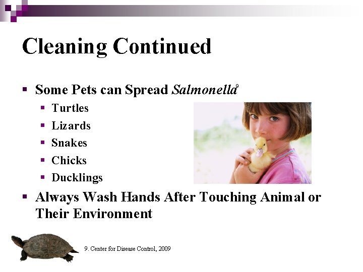 Cleaning Continued § Some Pets can Spread Salmonella 9 § § § Turtles Lizards