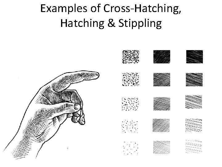 Examples of Cross-Hatching, Hatching & Stippling 