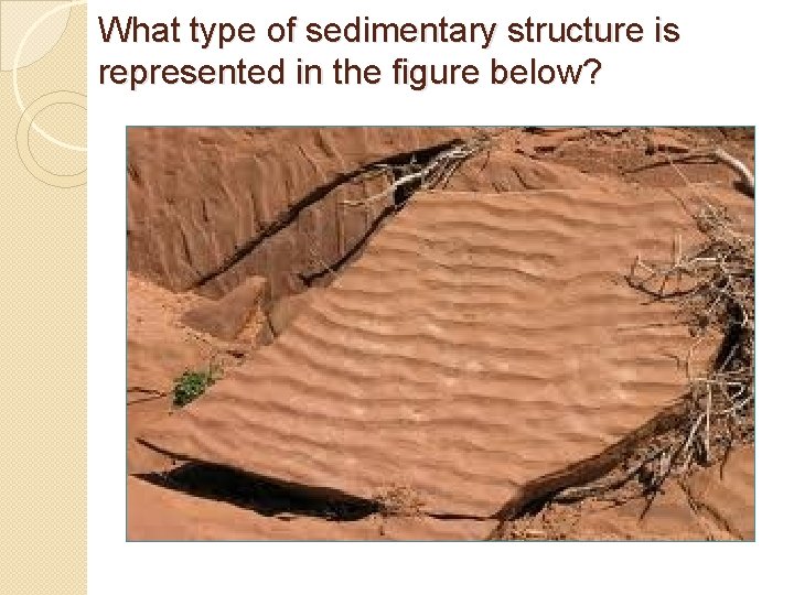 What type of sedimentary structure is represented in the figure below? What type of sedimentary structure is represented in the figure below?