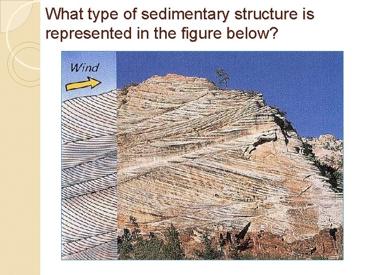 What type of sedimentary structure is represented in the figure below? What type of sedimentary structure is represented in the figure below?