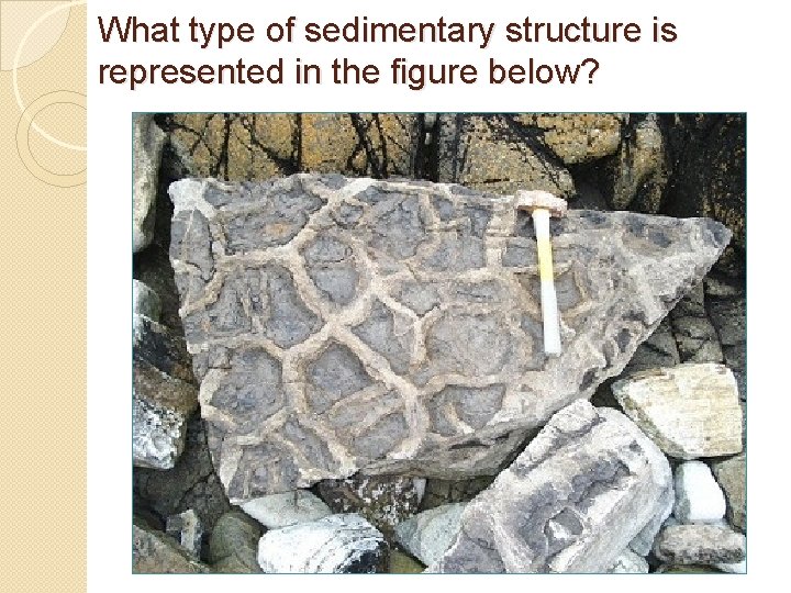 What type of sedimentary structure is represented in the figure below? What type of sedimentary structure is represented in the figure below?