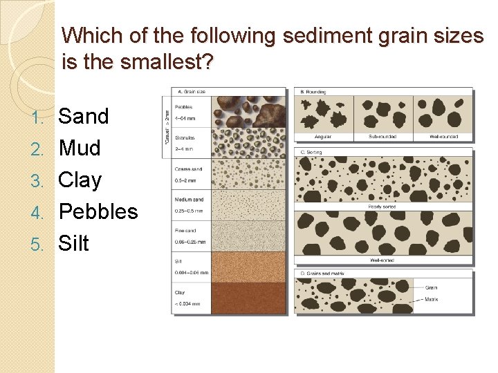 Which of the following sediment grain sizes is the smallest? 1. 2. 3. 4. Which of the following sediment grain sizes is the smallest? 1. 2. 3. 4.