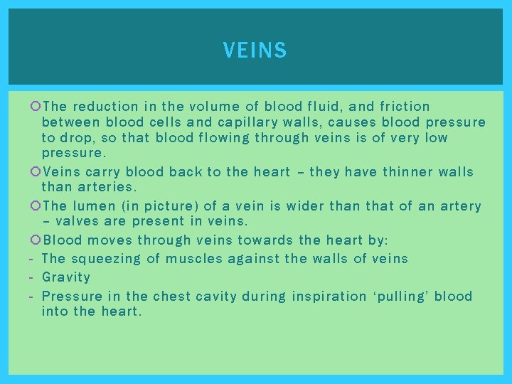 VEINS The reduction in the volume of blood fluid, and friction between blood cells