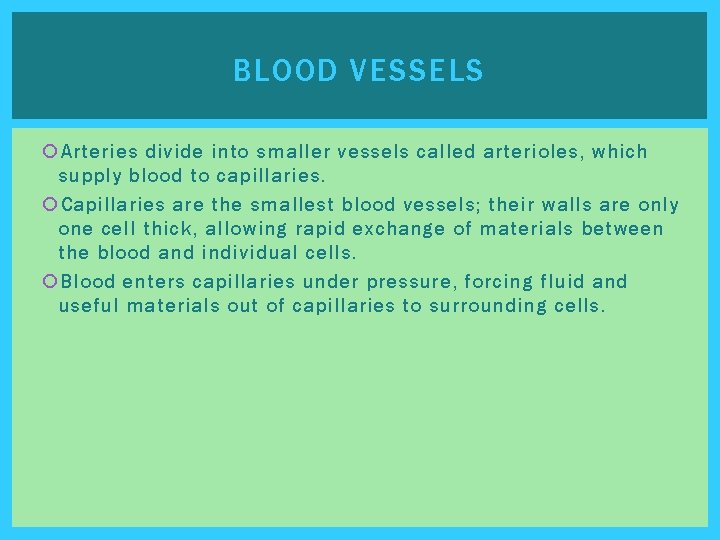 BLOOD VESSELS Arteries divide into smaller vessels called arterioles, which supply blood to capillaries.
