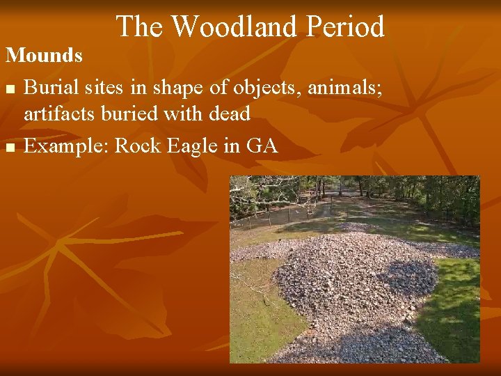 The Woodland Period Mounds n Burial sites in shape of objects, animals; artifacts buried