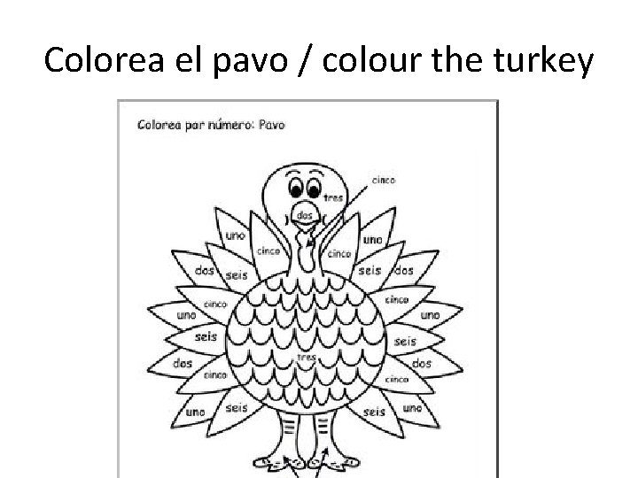 Colorea el pavo / colour the turkey 