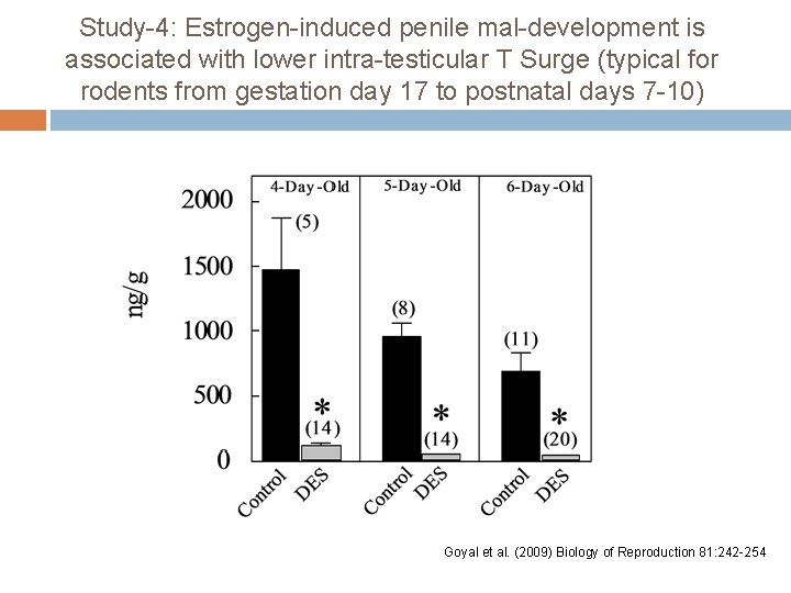Study-4: Estrogen-induced penile mal-development is associated with lower intra-testicular T Surge (typical for rodents