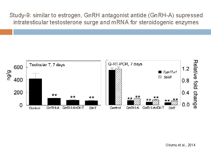 Study-9: similar to estrogen, Gn. RH antagonist antide (Gn. RH-A) supressed intratesticular testosterone surge