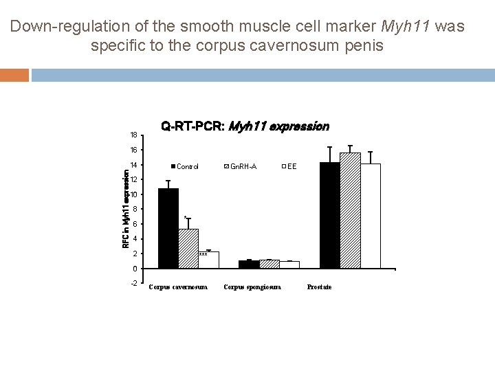 Down-regulation of the smooth muscle cell marker Myh 11 was specific to the corpus