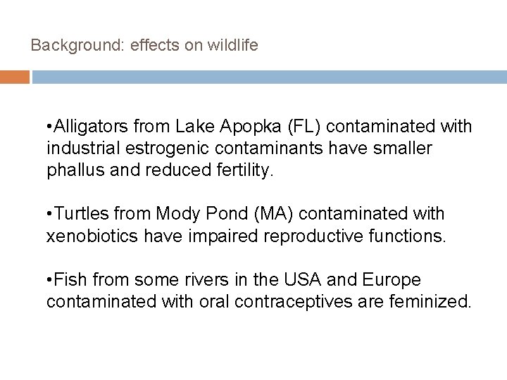 Background: effects on wildlife • Alligators from Lake Apopka (FL) contaminated with industrial estrogenic