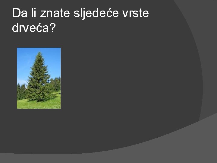 Da li znate sljedeće vrste drveća? 