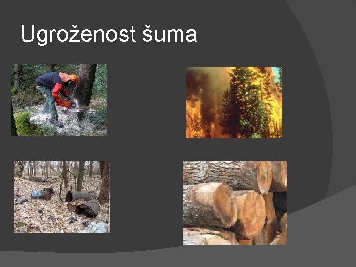 Ugroženost šuma 
