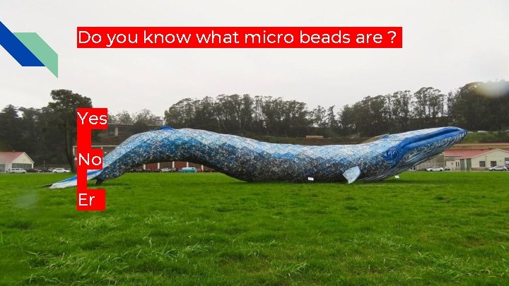 Do you know what micro beads are ? Yes No Er 