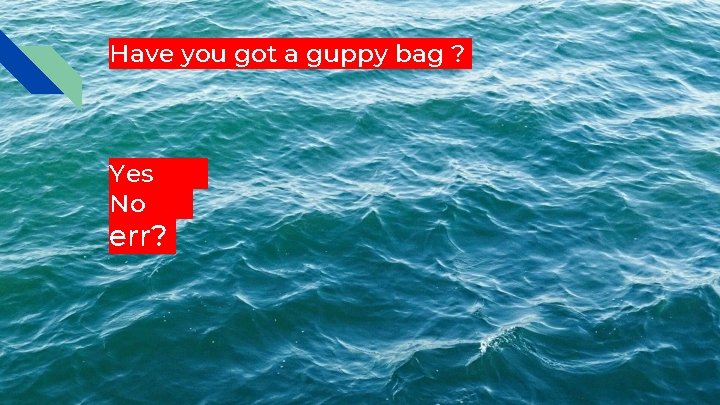 Have you got a guppy bag ? Yes No err? 