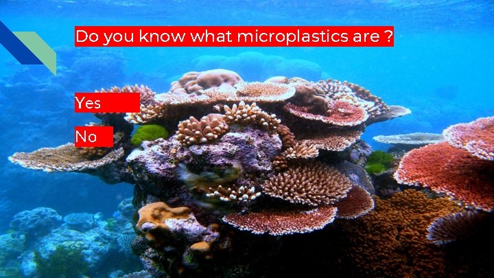 Do you know what microplastics are ? Yes No 