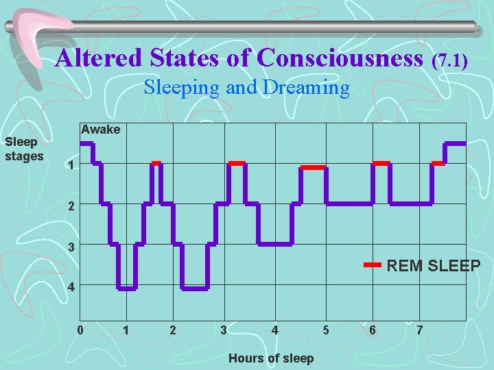 Altered States of Consciousness (7. 1) Sleeping and Dreaming Sleep stages Awake 1 2