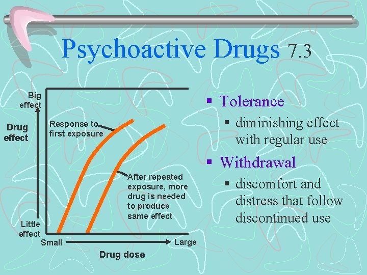 Psychoactive Drugs 7. 3 Big effect Drug effect § Tolerance § diminishing effect with