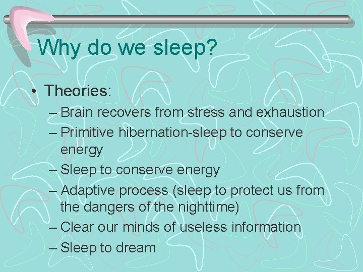 Why do we sleep? • Theories: – Brain recovers from stress and exhaustion –