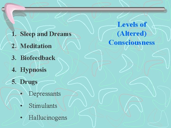 1. Sleep and Dreams 2. Meditation 3. Biofeedback 4. Hypnosis 5. Drugs • Depressants