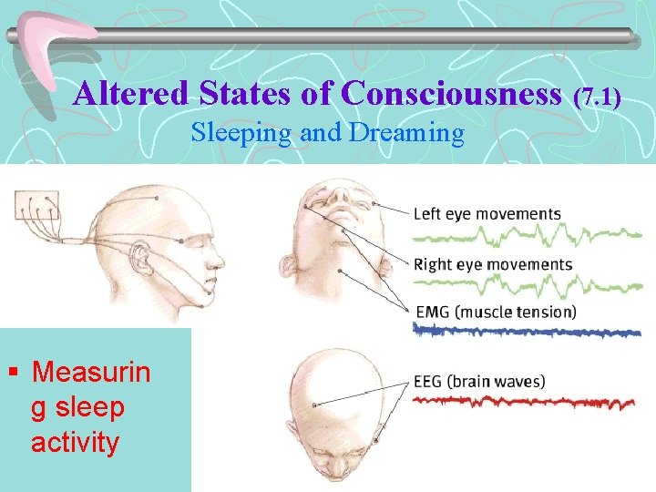 Altered States of Consciousness (7. 1) Sleeping and Dreaming § Measurin g sleep activity