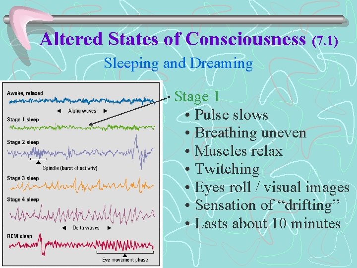 Altered States of Consciousness (7. 1) Sleeping and Dreaming • Stage 1 • Pulse