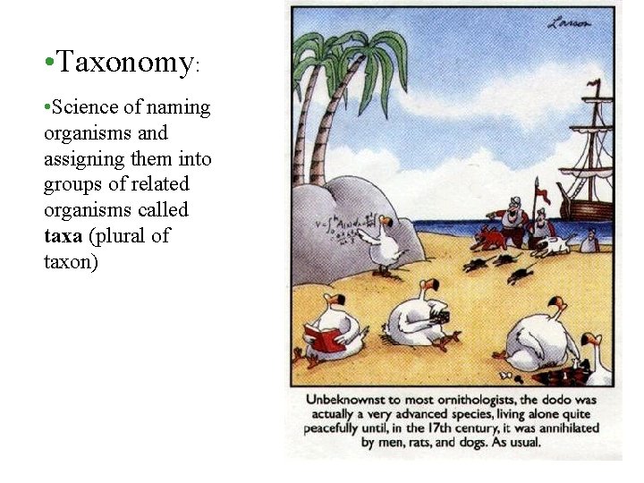 • Taxonomy: • Science of naming organisms and assigning them into groups of • Taxonomy: • Science of naming organisms and assigning them into groups of