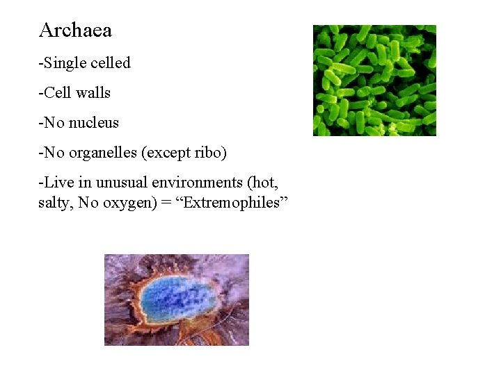 Archaea -Single celled -Cell walls -No nucleus -No organelles (except ribo) -Live in unusual Archaea -Single celled -Cell walls -No nucleus -No organelles (except ribo) -Live in unusual