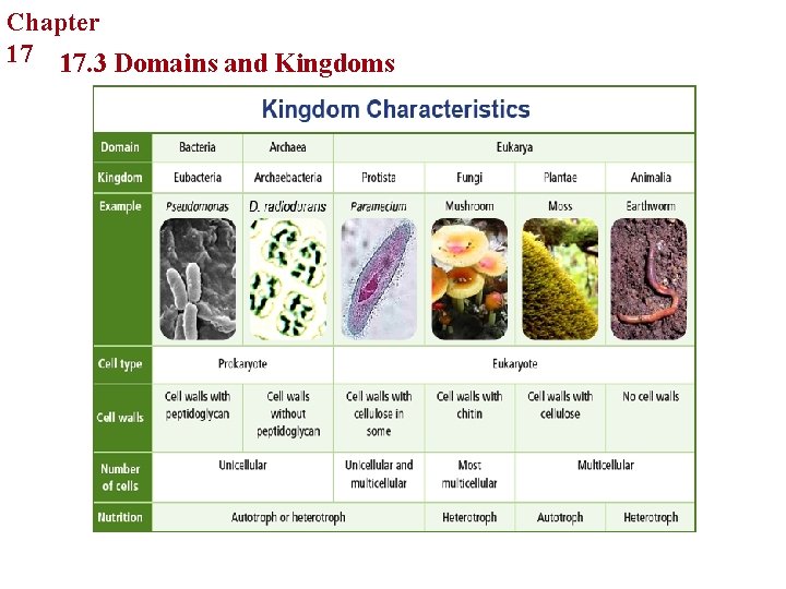 Chapter Organizing Life’s Diversity 17 17. 3 Domains and Kingdoms Chapter Organizing Life’s Diversity 17 17. 3 Domains and Kingdoms