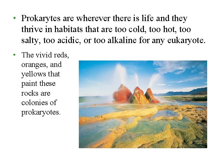 • Prokarytes are wherever there is life and they thrive in habitats that • Prokarytes are wherever there is life and they thrive in habitats that