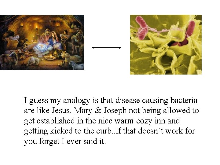 I guess my analogy is that disease causing bacteria are like Jesus, Mary & I guess my analogy is that disease causing bacteria are like Jesus, Mary &