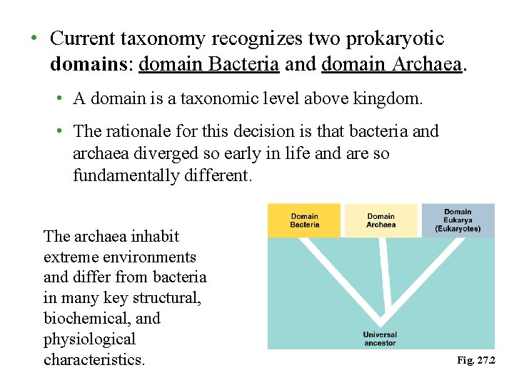 • Current taxonomy recognizes two prokaryotic domains: domain Bacteria and domain Archaea. • • Current taxonomy recognizes two prokaryotic domains: domain Bacteria and domain Archaea. •