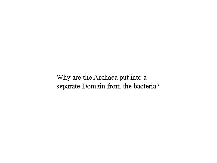 Why are the Archaea put into a separate Domain from the bacteria? Why are the Archaea put into a separate Domain from the bacteria?