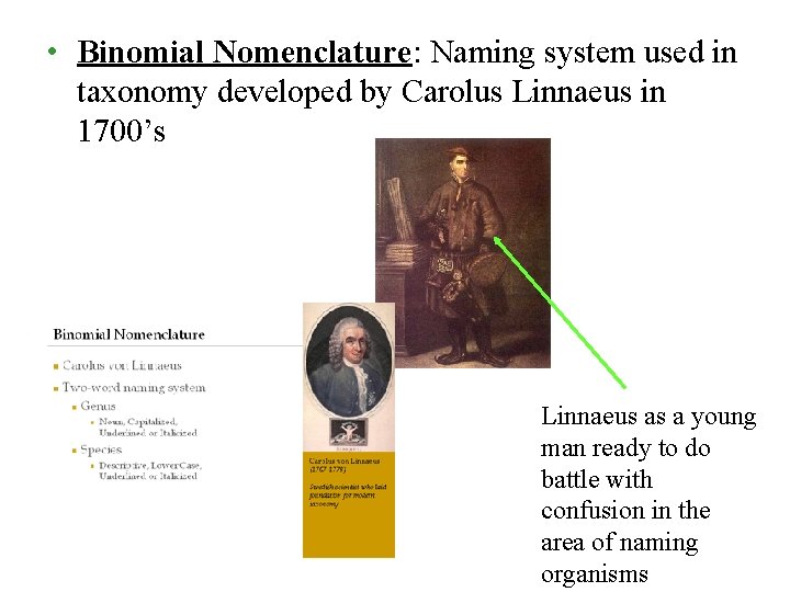 • Binomial Nomenclature: Naming system used in taxonomy developed by Carolus Linnaeus in • Binomial Nomenclature: Naming system used in taxonomy developed by Carolus Linnaeus in