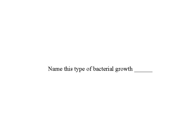 Name this type of bacterial growth ______ Name this type of bacterial growth ______