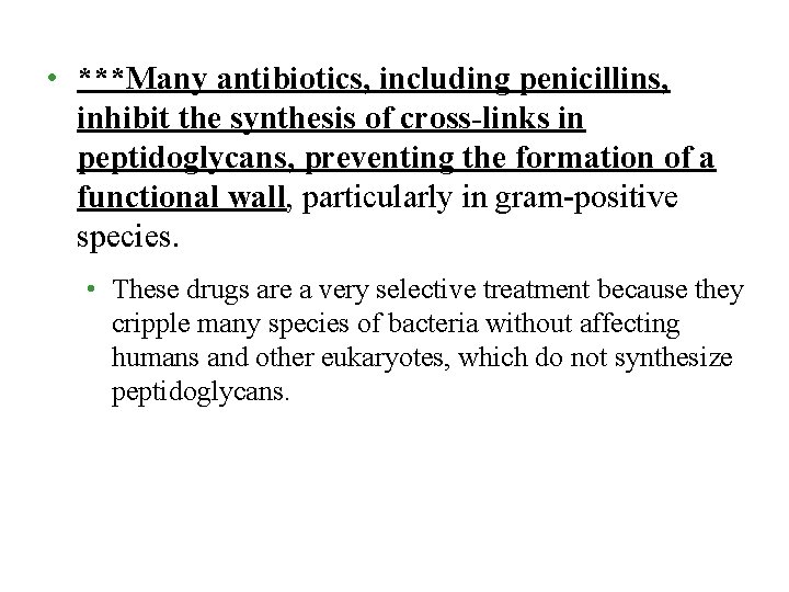 • ***Many antibiotics, including penicillins, inhibit the synthesis of cross-links in peptidoglycans, preventing • ***Many antibiotics, including penicillins, inhibit the synthesis of cross-links in peptidoglycans, preventing