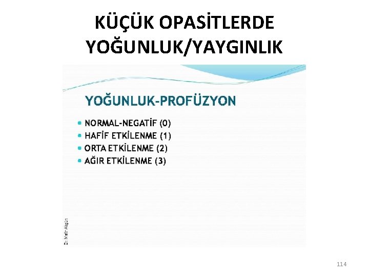 KÜÇÜK OPASİTLERDE YOĞUNLUK/YAYGINLIK 114 