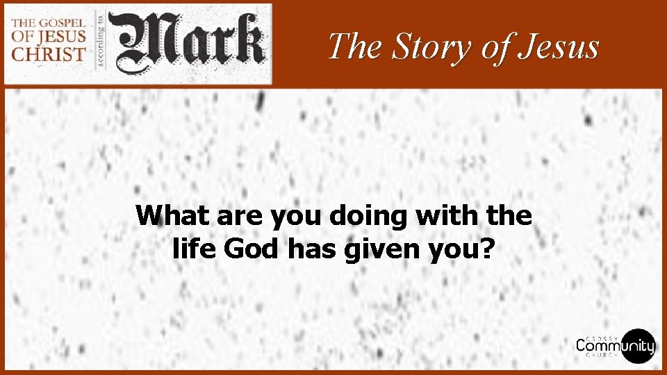 The Story of Jesus What are you doing with the life God has given
