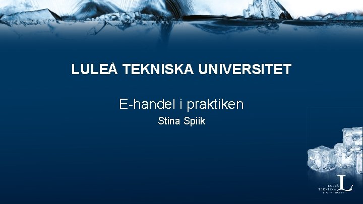 LULEÅ TEKNISKA UNIVERSITET E-handel i praktiken Stina Spiik 